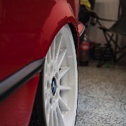 _MG_3955