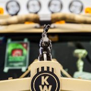 _MG_3999